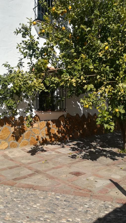 El Penon Villa Zahara De La Sierra Kültér fotó